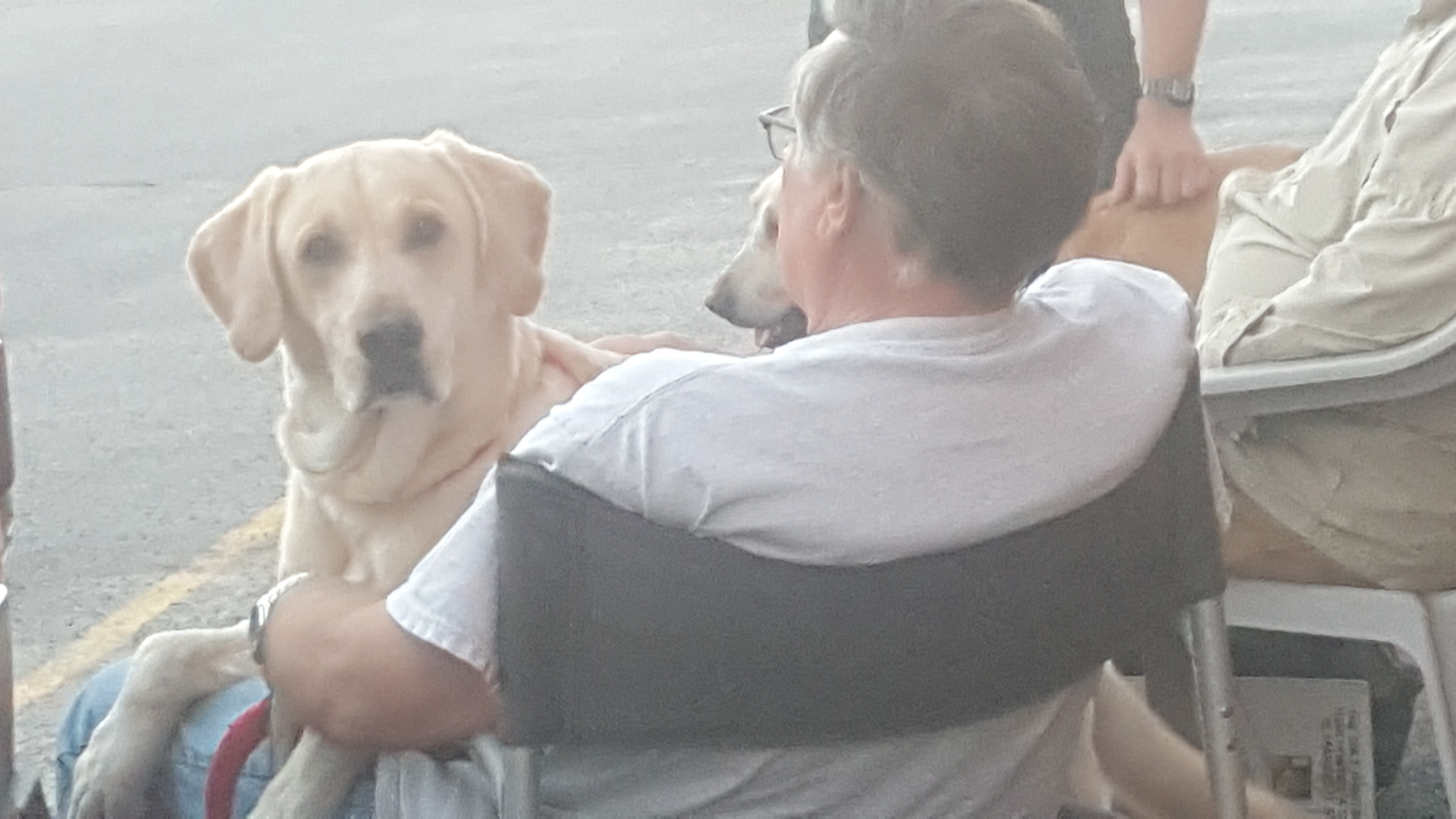 Field of Dreams Kennels, Country Home Bed & Biscuit, Black Creek, WI
